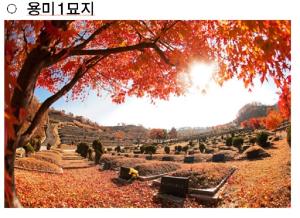 5개 서울시립묘지 분묘 개장해 화장하면 비용 반값…최대 50만원 지원