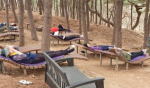 ‘서울형 치유의 숲길’, ‘녹색복지센터’에서 산림치유 프로그램 4월부터 본격 운영